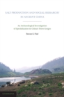 Salt Production and Social Hierarchy in Ancient China : An Archaeological Investigation of Specialization in China's Three Gorges - eBook