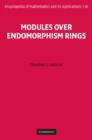 Modules over Endomorphism Rings - eBook