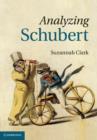 Analyzing Schubert - eBook