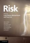 Risk - eBook