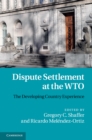 Dispute Settlement at the WTO : The Developing Country Experience - eBook