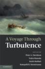 A Voyage Through Turbulence - eBook