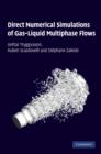 Direct Numerical Simulations of Gas-Liquid Multiphase Flows - eBook