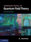 Advanced Topics in Quantum Field Theory : A Lecture Course - eBook