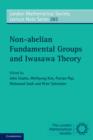 Non-abelian Fundamental Groups and Iwasawa Theory - eBook