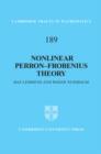 Nonlinear Perron–Frobenius Theory - eBook