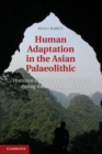 Human Adaptation in the Asian Palaeolithic : Hominin Dispersal and Behaviour during the Late Quaternary - eBook
