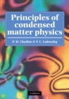 Principles of Condensed Matter Physics - eBook