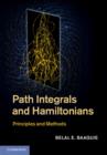 Path Integrals and Hamiltonians : Principles and Methods - eBook