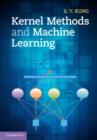 Kernel Methods and Machine Learning - eBook