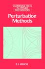 Perturbation Methods - eBook