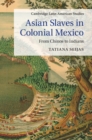 Asian Slaves in Colonial Mexico : From Chinos to Indians - eBook