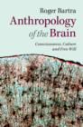 Anthropology of the Brain : Consciousness, Culture, and Free Will - eBook