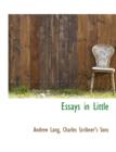 Essays in Little - Book