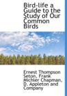 Bird-Life a Guide to the Study of Our Common Birds - Book