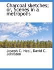Charcoal Sketches; Or, Scenes in a Metropolis - Book