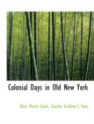 Colonial Days in Old New York - Book