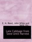 Late Cabbage from Seed Until Harvest - Book