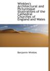 Winkles's Architectural and Picturesque Illustrations of the Cathedral Churches of England and Wales - Book