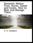 Domestic Watter Fowl. Ducks, Geese and Swans. How to Rear and Manage Them. - Book