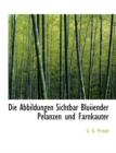 Die Abbildungen Sichtbar Bluiiender Pelanzen Und Farnkauter - Book