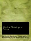 Wayside Gleanings in Europe - Book