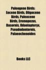 Paleogene Birds : Eocene Birds, Oligocene Birds, Paleocene Birds, Eremopezus, Dasornis, Odontopteryx, Pseudodontornis, Palaeochenoides - Book