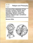 A Survey of the Cathedrals of York, Durham, Carlisle, Chester, Man, Litchfield, Hereford, Worcester, Gloucester, Bristol, Lincoln, Ely, Oxford, Peterborough, Canterbury Volume 2 of 3 - Book