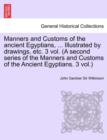 Manners and Customs of the Ancient Egyptians, ... Illustrated by Drawings, Etc. 3 Vol. (a Second Series of the Manners and Customs of the Ancient Egyp - Book