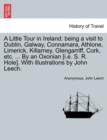 A Little Tour in Ireland : Being a Visit to Dublin, Galway, Connamara, Athlone, Limerick, Killarney, Glengarriff, Cork, Etc. ... by an Oxonian [I.E. S. R. Hole]. with Illustrations by John Leech. - Book