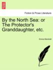 By the North Sea : Or the Protector's Granddaughter, Etc. - Book