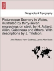 Picturesque Scenery in Wales, Illustrated by Thirty-Seven Engravings on Steel, by H. Adlard, Allen, Gastineau and Others. with Descriptions by J. Tillotson. - Book