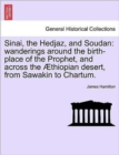 Sinai, the Hedjaz, and Soudan : Wanderings Around the Birth-Place of the Prophet, and Across the Thiopian Desert, from Sawakin to Chartum. - Book