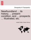 Newfoundland ... its history, ... present condition, and ... prospects ... Illustrated, etc. - Book