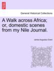A Walk Across Africa; Or, Domestic Scenes from My Nile Journal. - Book