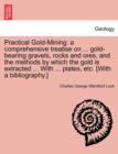 Practical Gold-Mining : A Comprehensive Treatise on ... Gold-Bearing Gravels, Rocks and Ores, and the Methods by Which the Gold Is Extracted ... with ... Plates, Etc. [With a Bibliography.] - Book