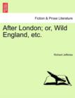 After London; Or, Wild England, Etc. - Book