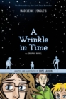 A Wrinkle in Time - Book