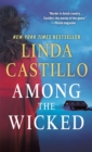 Among the Wicked : A Kate Burkholder Novel - Book
