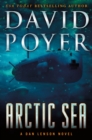 Arctic Sea : A Dan Lenson Novel - Book