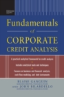 Standard & Poor's Fundamentals of Corporate Credit Analysis (PB) - Book