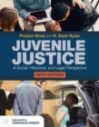 Juvenile Justice: A Social, Historical, And Legal Perspective - Book