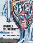 Juvenile Delinquency : The Core - Book