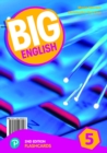 Big English AmE 2nd Edition 5 Flashcards - Book