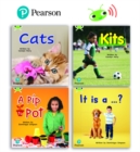 Learn to Read at Home with Bug Club Phonics: Phase 2 - Reception Term 1 (4 non-fiction books) Pack B - Book