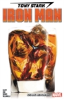 Tony Stark: Iron Man Vol. 2 - Stark Realities - Book