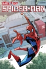 W.e.b. Of Spider-man - Book