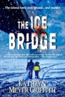 Ice Bridge - eBook