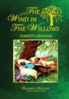 THE Wind in the Willows - Book