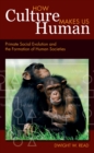 How Culture Makes Us Human : Primate Social Evolution and the Formation of Human Societies - eBook